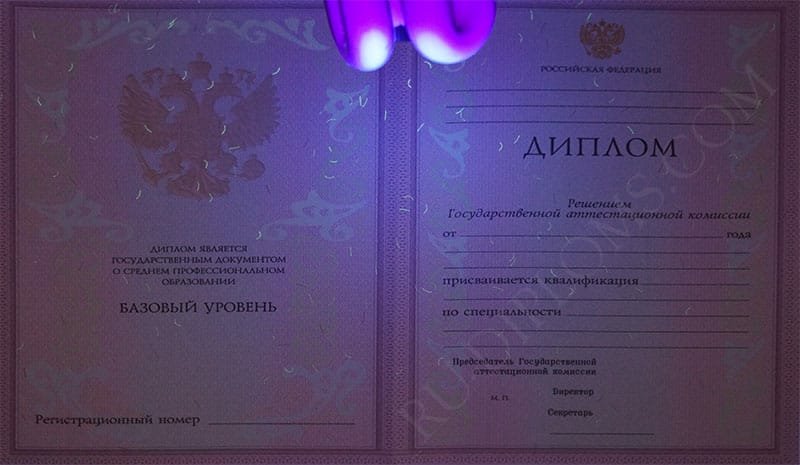 Диплом техникума или колледжа 2004-2006 год 