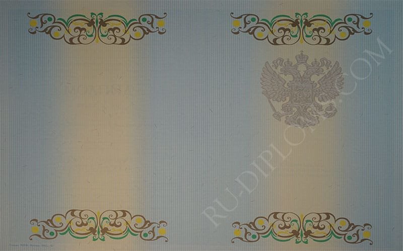 Диплом бакалавра 2010-2013 год  